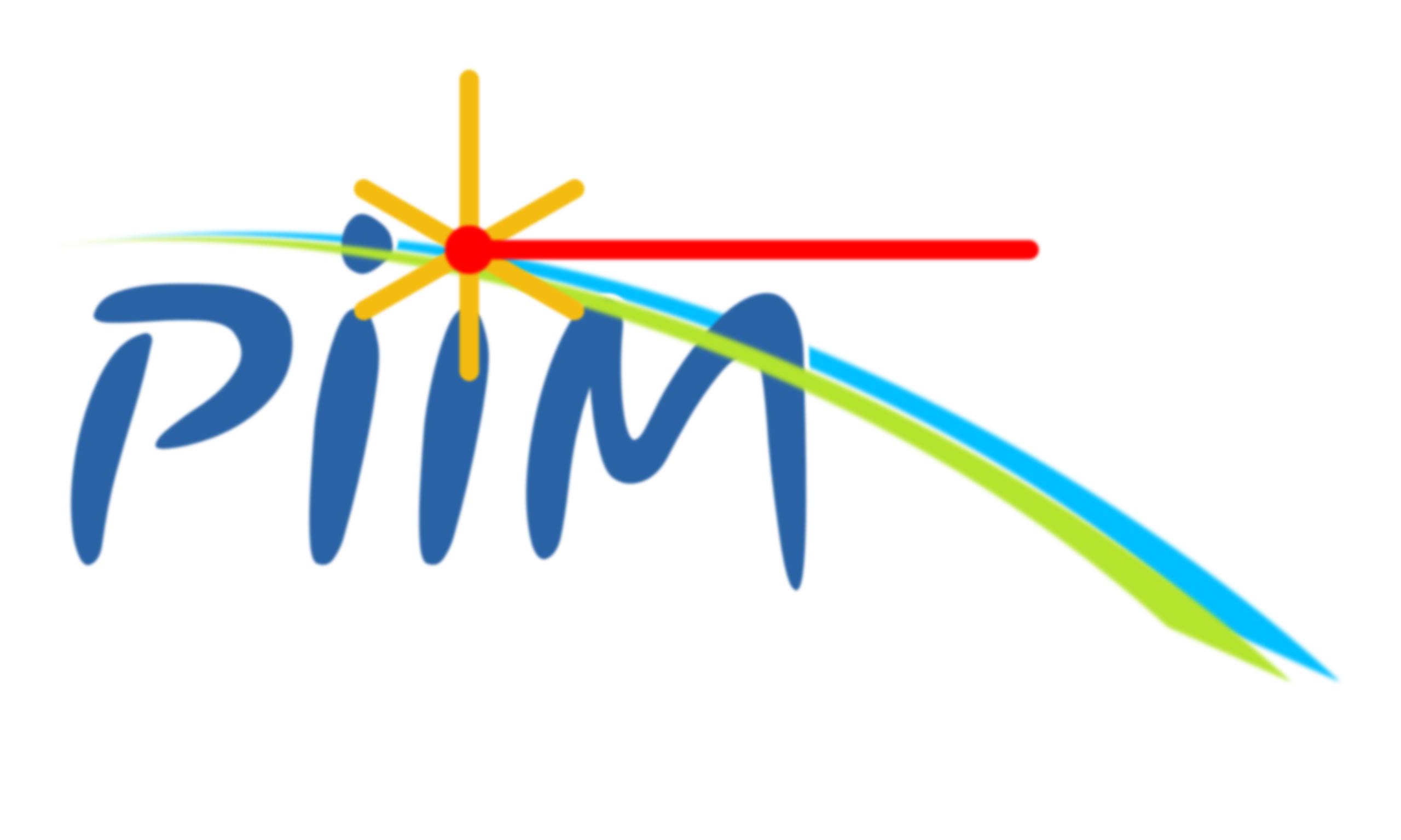 PIIM
